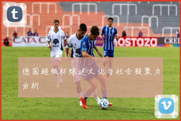 德国超级杯球迷文化与社会凝聚力分析